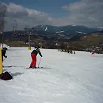 261 شقة